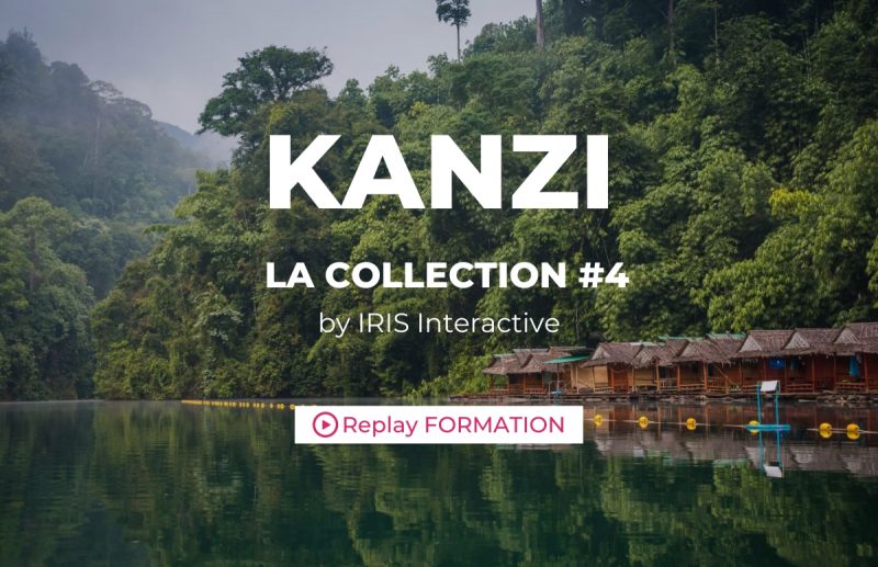 FORMATION – Kanzi, la Collection Collaborative