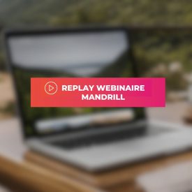 REPLAY – mandrill, la Collection collaborative