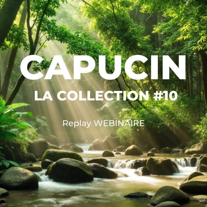 Replay – Capucin, la collection #10 pensée pour le quotidien des destinations et des visiteurs